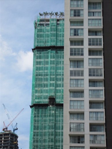 KL is a really green city.  Lots of vegetation.  So much so, they put the trees in before the windows.