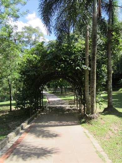 Entrance to the Botanical Garden