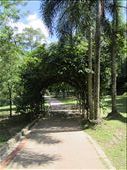 Entrance to the Botanical Garden: by anealis314, Views[292]
