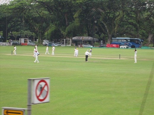 A cricket game!  A real live cricket game!