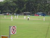 A cricket game!  A real live cricket game!: by anealis314, Views[222]