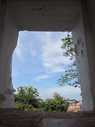 Just a view from the window