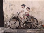 real bicycle attached to the wall.: by anealis314, Views[301]