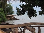 by anealis314, Views[188]