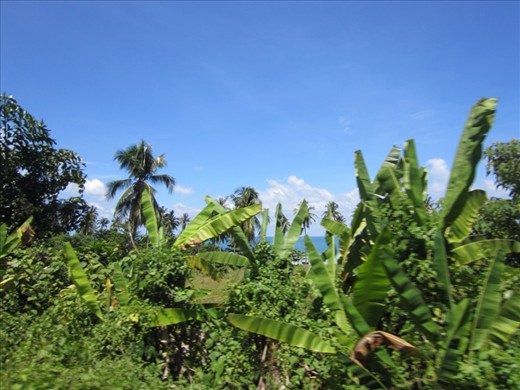 the island is pretty hilly, so these pictures are our views from the songtae (truck cab) to the ferry on the day we left.