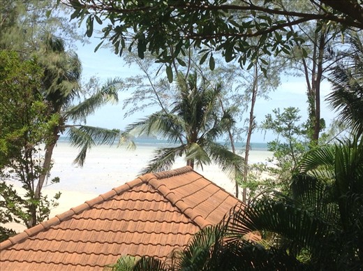 the view from my bungalow in Koh Phanga for my yoga retreat.