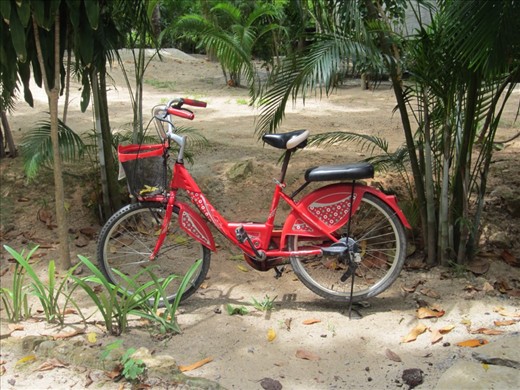 my wheels while i was in koh phanga