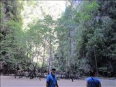 ..........this was on the other side of the cave.  Mangrove trees, mud skippers, and fiddler crabs.: by anealis314, Views[392]