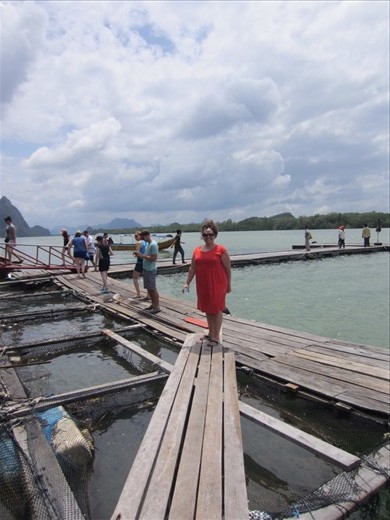 Getting to the Koh Panyi from the boat.  It is a fishing village, and they store all their fish for the day in the water to the left.