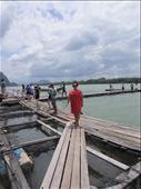 Getting to the Koh Panyi from the boat.  It is a fishing village, and they store all their fish for the day in the water to the left.: by anealis314, Views[392]