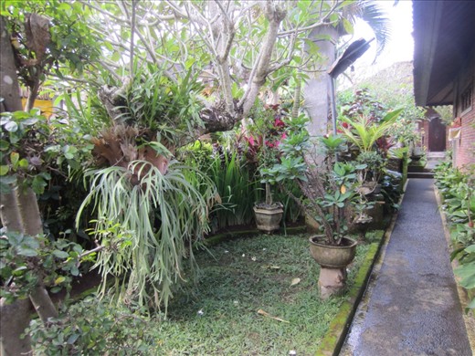 Walking towards my bungalow.