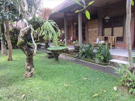 Yard in front of my bungalow.  Most days there were 3 bunny rabbits frolicking in this yard.