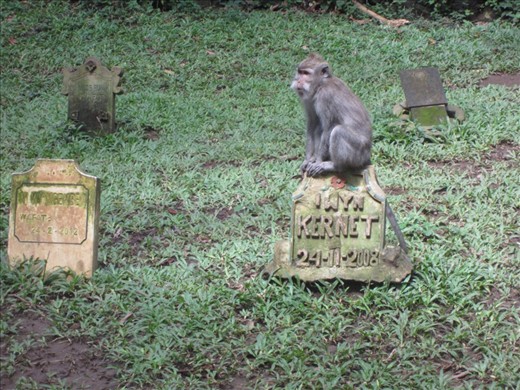 There is a cemetery in Monkey Forest.  