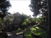 view of museum grounds while i enjoyed afternoon tea.: by anealis314, Views[205]