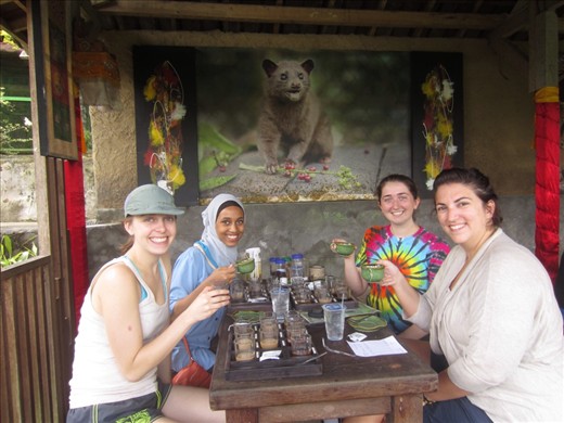 tasting luwak coffee