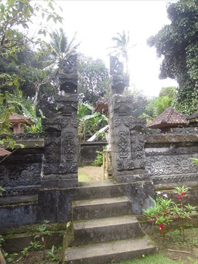 On a bike tour of Bali, we toured a village family's 