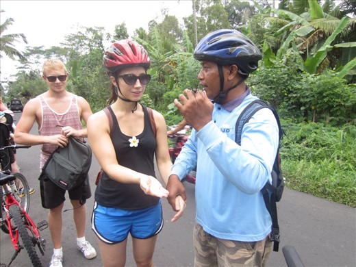 Our tour guide showing us a spider; he said it wasn't poisonous.  I doubted him.