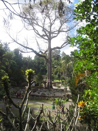 Goa Gojah, the elephant cave temple.