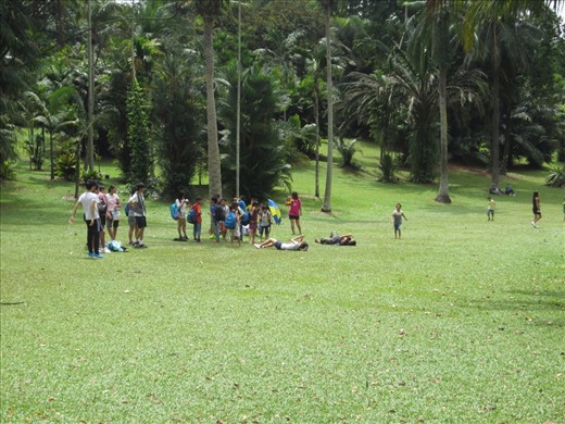 rolling down the hill