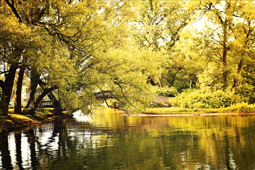 I always wanted to visit Central Islands in Toronto. This bridge across a pond at Central Islands caught my attention. It looks great in between the tree and pond. Just like in the lap of mother nature.