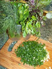 by angel-travel, Views[298]