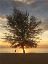 by angel_yogi, Views[244]