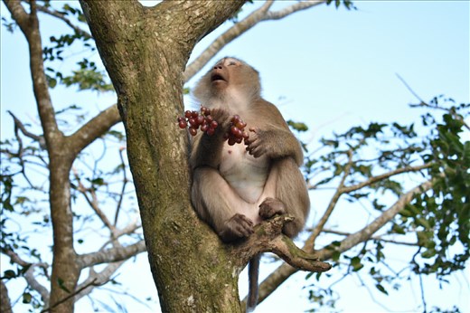 Hanging Around in Thailand