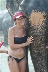 Elephant Sanctuary, Thailand: by angelaleoni1, Views[937]