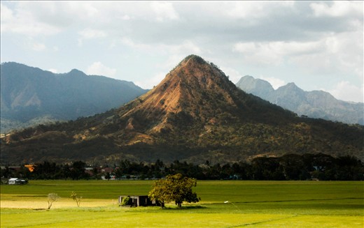 a rice field in a province in Philippines