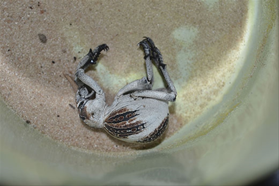 I'm tired after a hard days work (on Set of Star Wars VI) - 03.02.2014