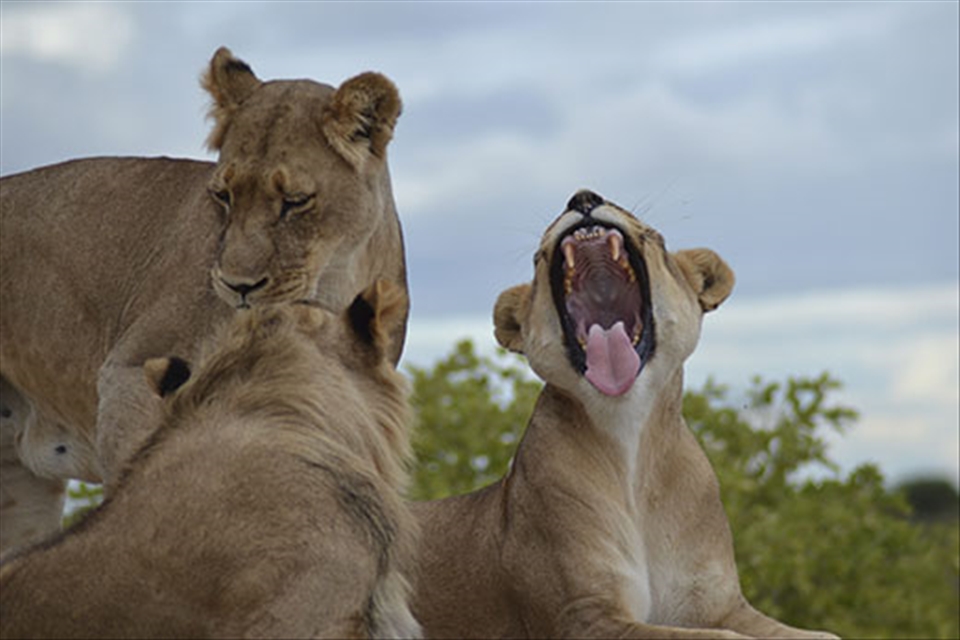 Oh girl, have you ever heard of mouthwash?! - 28.01.2014