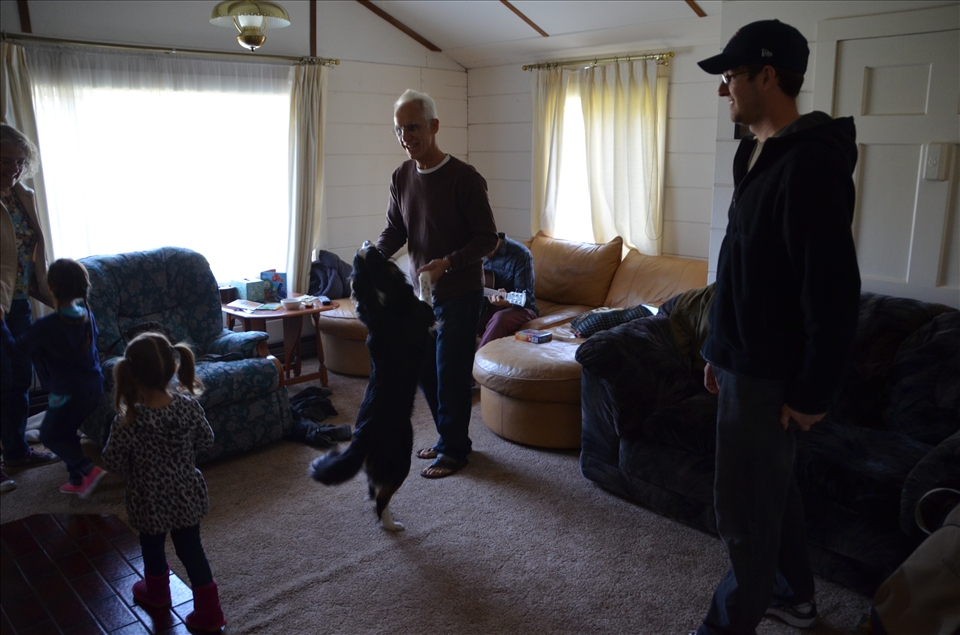 Dancing with the dog