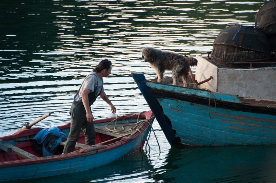 FAITHFUL FRIEND.
Not only the candles were changed by the engines; the carts moved by oxen and horses, which helped land the products, have completely disappeared. Now the smaller boats are the ones that help stranded boats to get near the coast. However, the animals haven´t disappeared from the landscape of the port: a few pets accompany the fishermen through every moment of their journey. And on important dates, like the days before New Year, tens of lambs and ducks are brought into these vessels for their subsequent sale.