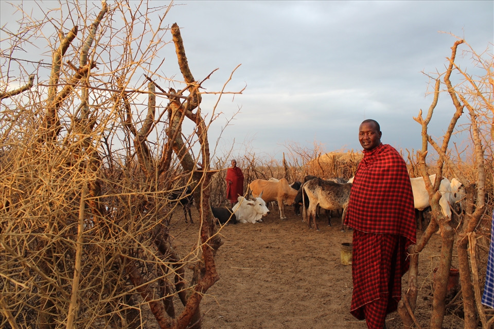 Sunrise with the Masai  as they do a morning head count of their animals in the boma.