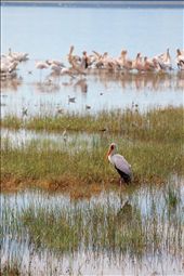 by angiel, Views[248]