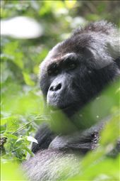 by angiel, Views[295]