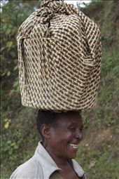 by angiel, Views[288]