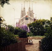 by anhtunguyenphotography, Views[268]