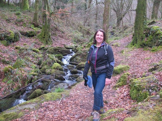 Walking in a gorgeous wood above Betws-Y-Coed, Wales