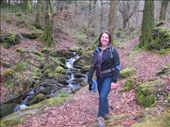 Walking in a gorgeous wood above Betws-Y-Coed, Wales: by anijensen, Views[433]