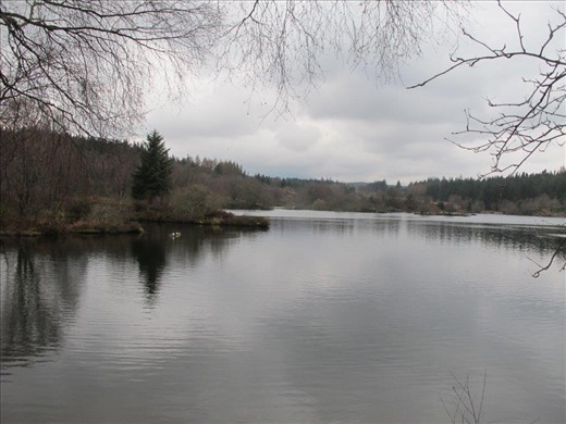 A small mountain lake, about 800 ft above Betws-Y-Coed, Snowdonia, Wales