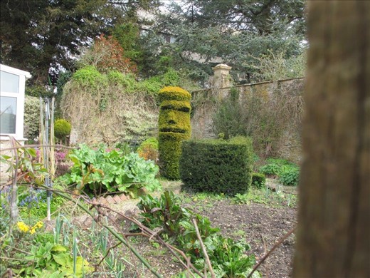 Easter Island topiary near Malmesbury.