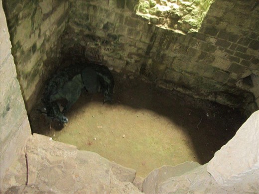Dragon slumbering in the dungeon, Wardour Castle