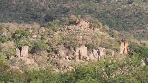 Landscape for Bethanie