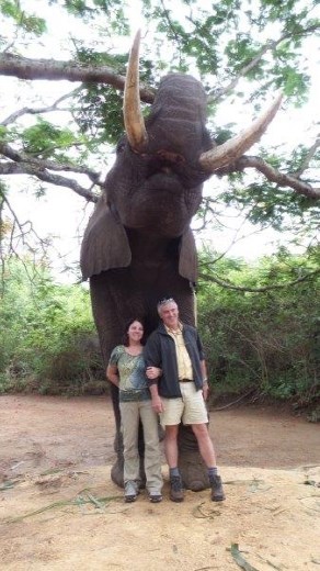 Posing with Tembo:  11 feet tall at the shoulder, and will grow another 2 feet