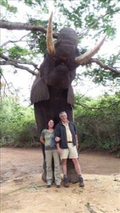 Posing with Tembo:  11 feet tall at the shoulder, and will grow another 2 feet: by anijensen, Views[665]