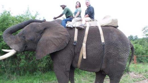 Riding Tembo:  we were *way* up in the air