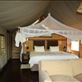 Our room at Thakadu River Camp, Madikwe Game Preserve: by anijensen, Views[198]