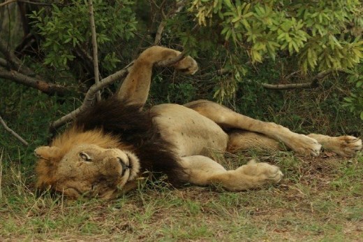 How's that for relaxed?