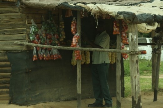 Roadside vegetable and fruit stand